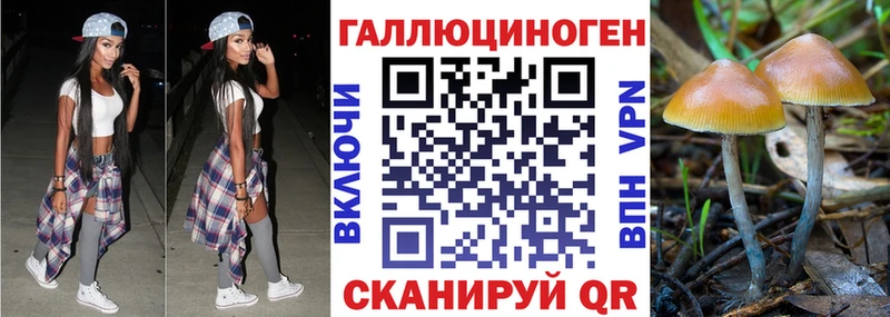 ОМГ ОМГ ССЫЛКА  Соликамск  Галлюциногенные грибы GOLDEN TEACHER 